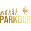 Evolution Parkour
