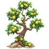 Citronnier, Idylle Naturelle, Rafraîchissement