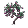 Living Tree with Purple Fruits