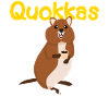 Quokkas Coffee Quokka
