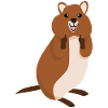 Quokka Middle Finger Quokkas