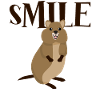Quokkas Misantrophic Quokka