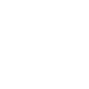 Electric Vehicle