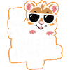 Hamster Golden Hamster Dwarf Hamster
