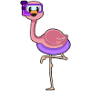 Flamingo Diver Snorkeling Immersioni