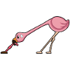 Flamingo Worm