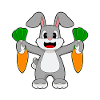 Carottes lapin