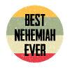 Best Nehemiah Ever