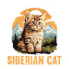 Siberian Cat Sibirische Katze