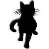cat3