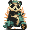 Panda Scooter