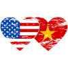 USA Vietnam Flag Heart Used
