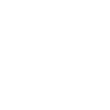 Pitt
