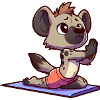 Hyena Gymnastics Yoga Fitness