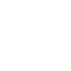 Wisdom Insights Bday Mental Resilience