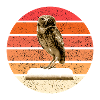The Owl