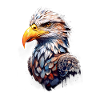 Adler Eagle V24 08