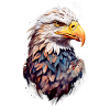 Adler Eagle V24 02