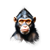 Monkey Monkey V24 01
