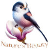 Meise Nature's Beauty