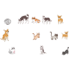 Vet Tech Veterinary Veterinary Technician