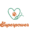 Vet Tech Veterinary Veterinary Technician