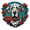 Dalmatian / Dog / Animal / Pet / Barking