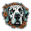 Dalmatian / Dog / Animal / Pet / Barking