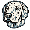 Dalmatian / Dog / Animal / Pet / Barking