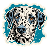 Dalmatian / Dog / Animal / Pet / Barking