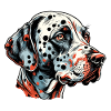 Dalmatian / Dog / Animal / Pet / Barking