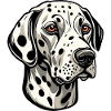 Dalmatian / Dog / Animal / Pet / Barking
