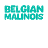 Berger Belge ANATOMIE D’UN BELGE