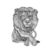 Lines art lion #lion