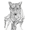 Lines art wolf #wolf