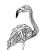 Lines art flamingo #bird