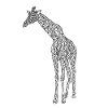 Lignes d’art Giraffe #giraffe