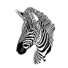 Lignes art zèbre #zebra
