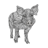 Lines art pig #pig