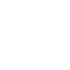 Engineer Input & Output (light)