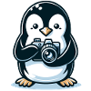 Photographe pingouin : l’aventurier de l’instantané