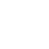 The new monetary system