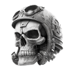 Skull with helmet