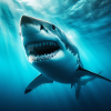 Great White Shark