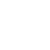 Paddy