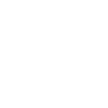 Palmiers symbole de l’été insulaire