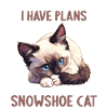 Snowshoe Kitten Snowshoe Cat