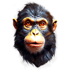 Monkey Monkey V24 09