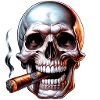 Skull1 transp