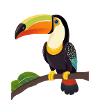 cute toucan